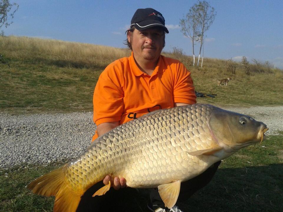 eu - 106985579826678184270556950513758944343166n1.jpg